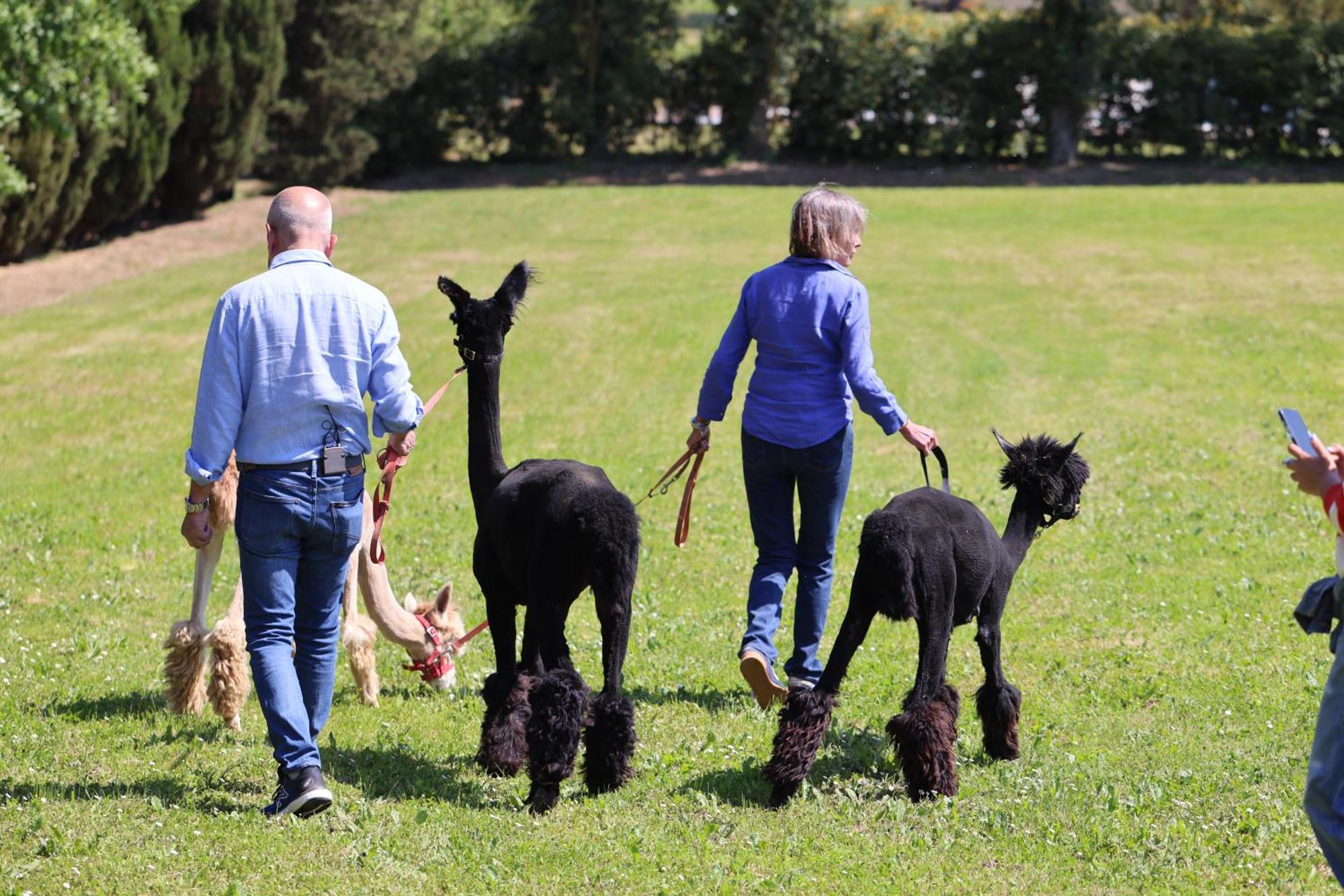 Fattoria Casabianca Villa Bucine Eksteriør bilde