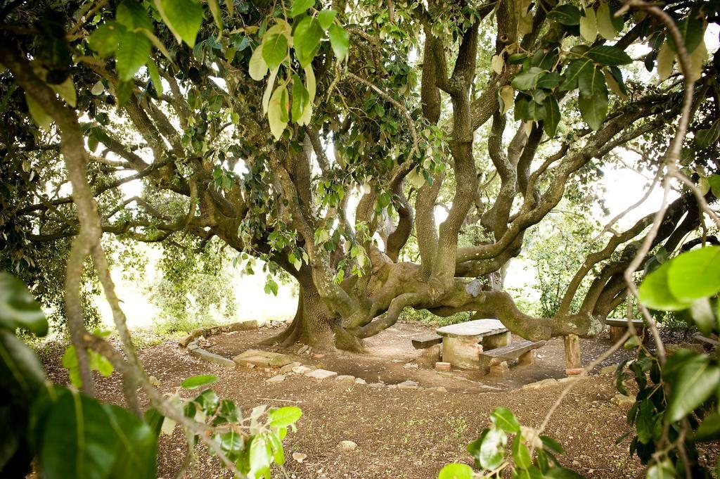 Fattoria Casabianca Villa Bucine Eksteriør bilde