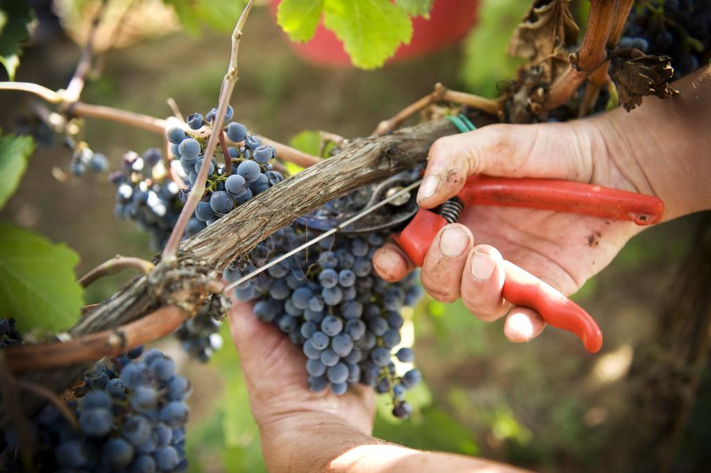 Fattoria Casabianca Villa Bucine Eksteriør bilde