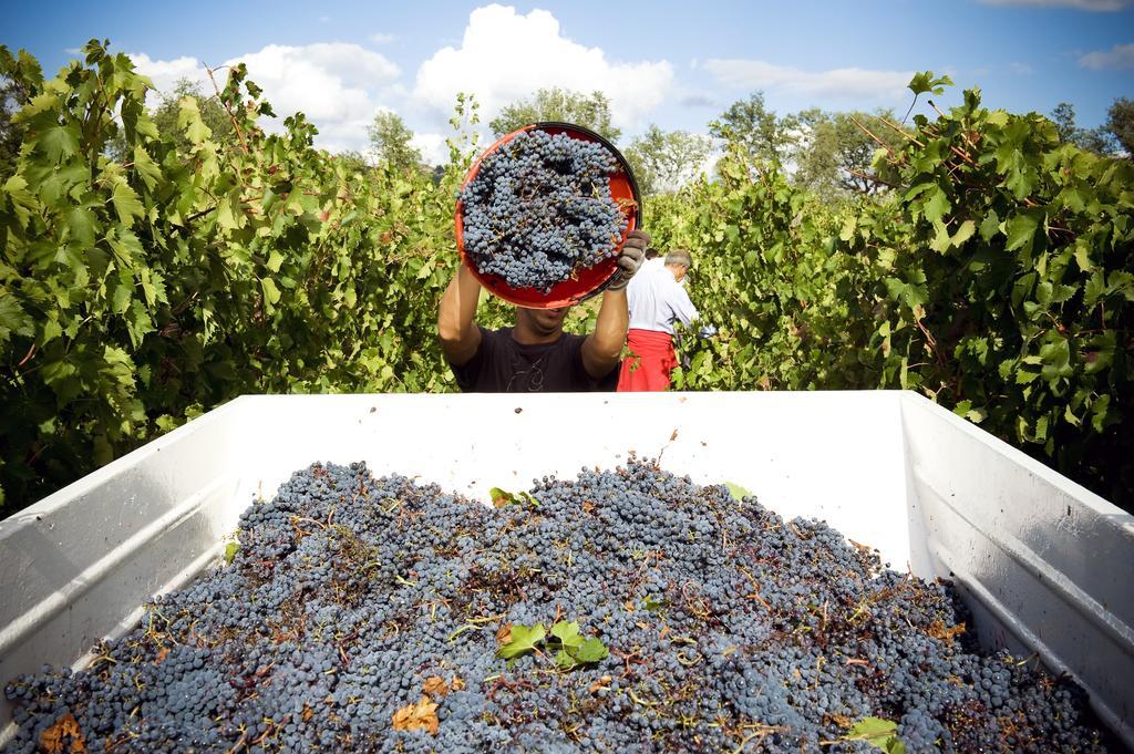 Fattoria Casabianca Villa Bucine Eksteriør bilde